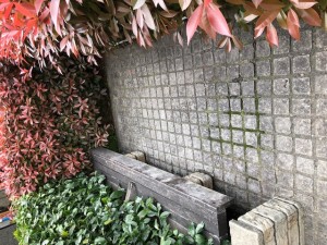 IMG_0291