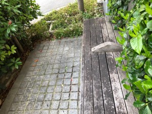 IMG_0311