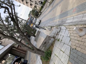 IMG_0322