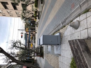 IMG_0325