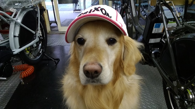 すいたうん｜JR吹田駅周辺商店街ポータルサイト | シンタクサイクル