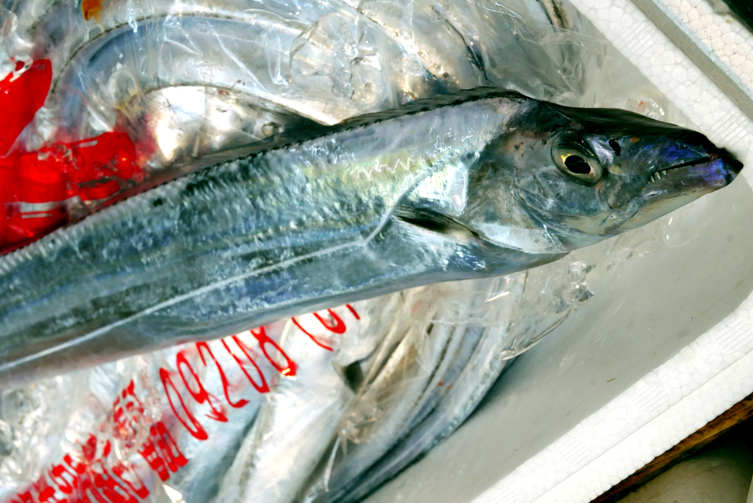 すいたうん｜JR吹田駅周辺商店街ポータルサイト | 三兄鮮魚店